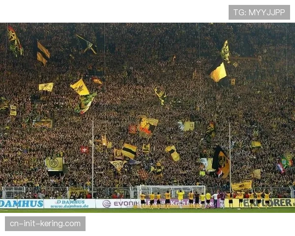 欧足联推站席新规，多特蒙德南看台需进行改造